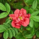 전주유치원 이미지