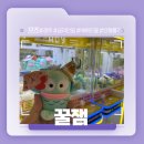 꿀잼 뽑기 이미지