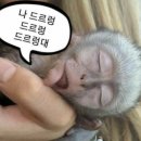 햇님달님