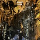 매화천 | [성류굴] 경북 울진 가볼 만한 곳 실내 데이트 코스 주차 입장료 정보