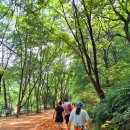 황토길 - 광산구 | 황토길