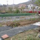 산촌집 - 노원구 중계로6가길 19 | 산촌집