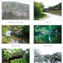 국립용현자연휴양림야영장 이미지