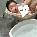 고야농산 | 23년 7월 넷째주 / 나의 여름은 해나와 함께