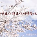 다온인사노무컨설팅