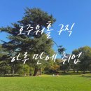 settle | 호주 워홀 생존기 EP.03ㅣ구직 1일 만에 취업후기, 멜버른 구직사이트 정리