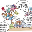 스토리텔링 한국사 이미지