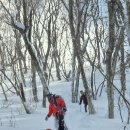 순백의 세상, 설국(雪國)에서의 하루 이미지