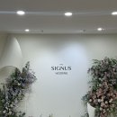 이마트24광주호동로점 | 여유로운 단독홀, 더시그너스 웨딩 광주 / 본식 솔직 후기&amp;장단점 비교