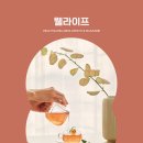 웰라이프글로벌