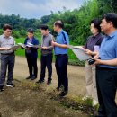 안정왕겨 이미지