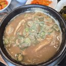 나무와 돌 | 제주 노형동의 숨은 보양식 맛집, 돌나무가든 방문 후기