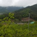 금월농장 이미지