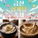 금산-19 | 7월 축제 추천 충남 금산 삼계탕축제 즐길거리 가득!