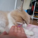 그루밍 타임 이미지