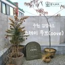 스테이우브 | 수원 행궁동 근처 숙소 스테이우브 숙박 후기