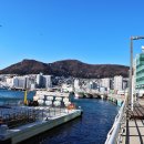 부산자갈치 이미지