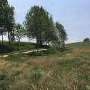 조병화농장 이미지