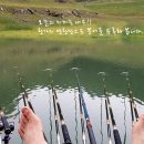 늘푸른낚시 이미지