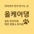 올케어댕 네이버블로그