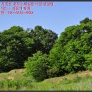 신산3리마을회관 이미지