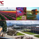 명문특장 이미지