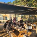 몽산포꿈의바다 이미지