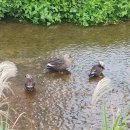 해반천로 이미지