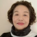 천년의사랑 이미지