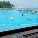 주문진리조트 이미지