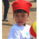 신서초교 이미지