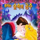 애체안경원 이미지