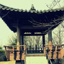초록산 산림욕장 2 네이버블로그