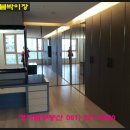 퀸덤 1차 아인슈타인 이미지