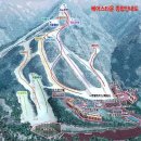 베어스 타운 이미지