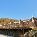 와이글램핑 이미지