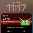 해처럼 | 스픽, 말해보카, 케이크, 듀오링고 1년 해본 비교 후기