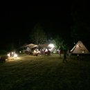 티피클럽 이미지