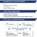 스터디브릭스입시관