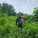 마차산입구 | [청년벌초] 파주·가평 산간지역 봉분 벌초 대행 - 험한 산길도 마다하지 않습니다