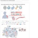 [일반] '코로나19 이전의 세상은 잊어라'. 이젠 확실히 알겠음 이미지