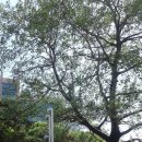 백양산업 이미지