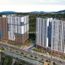 감삼동327 이미지