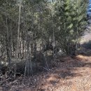 주교3리 마을회관 이미지