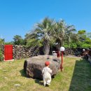 아이랑 민박 이미지