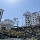 환상의바다리조트C동 이미지