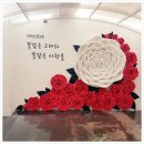 제니아빈 이미지