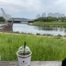 임대희농장 이미지