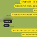 경동클라이밍 | [육아용품] 돌아기 17개월 남자아기 대근육 발달 장난감 타요 야야미끄럼틀 구입 후기 [내돈내산]