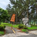 하동공원길 이미지